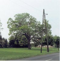 Friedensplatz, Spielplatz im angrenzenden Park 